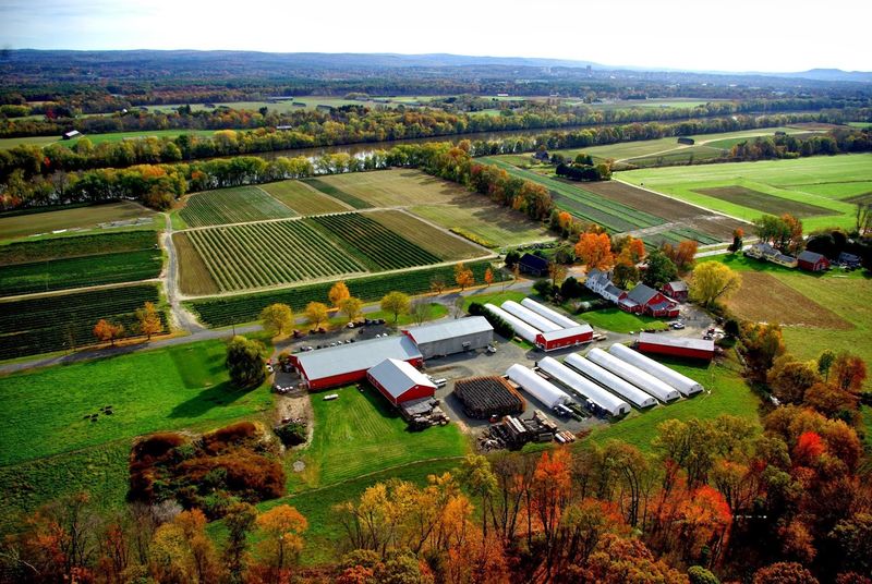 Nourse Farms