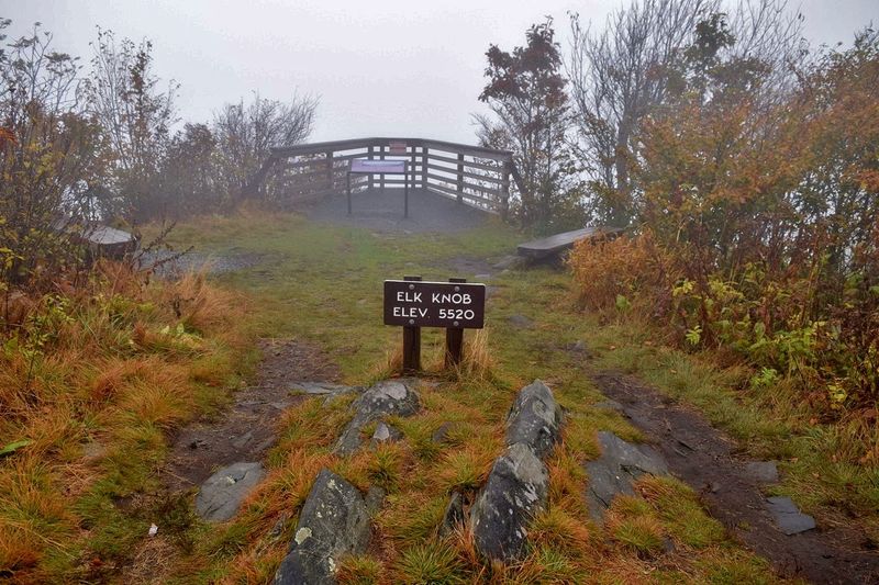Elk Knob Summit Trail