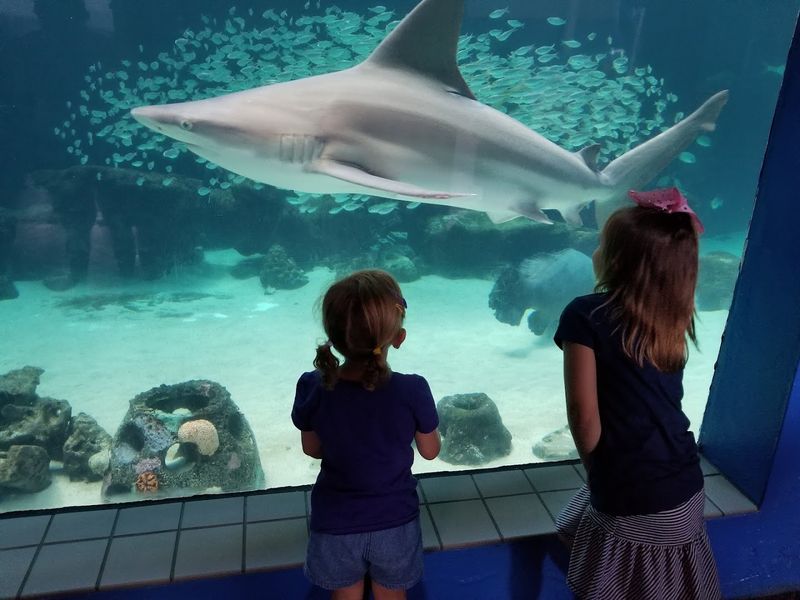 A Brand-New Next-Generation Aquarium Experience