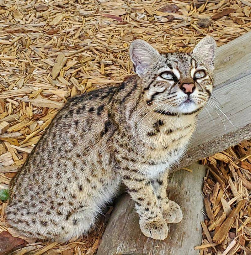 Knowledgeable Guides Who Make Conservation Easy to Understand