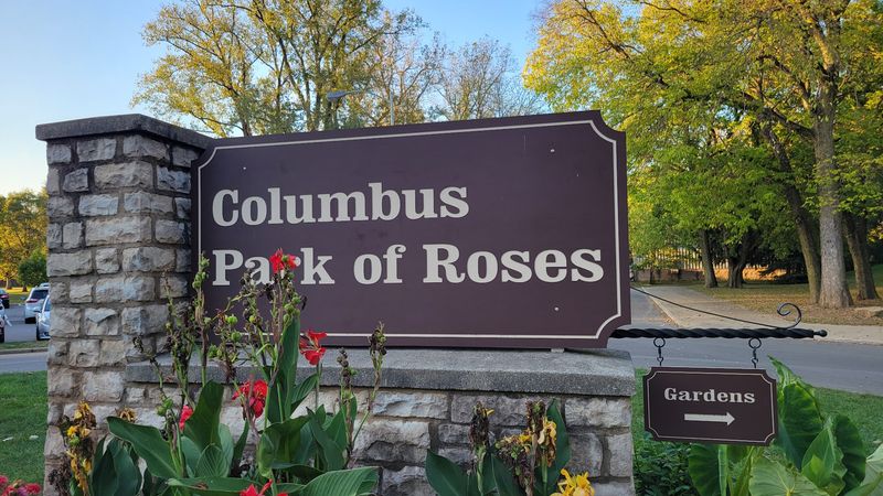 A Hidden Gem Inside Whetstone Park