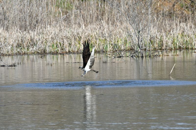 Visitor Tips for the Best Experience