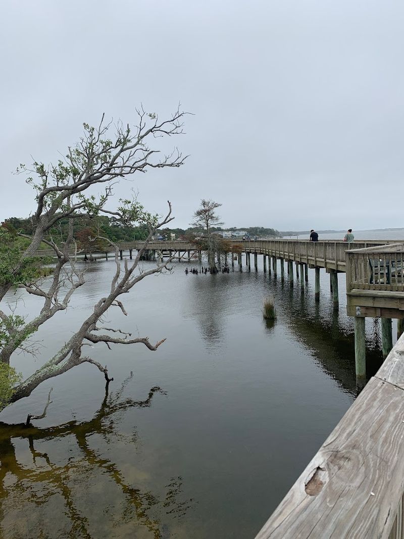 Duck Boardwalk