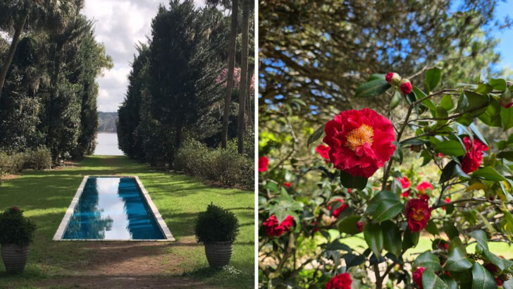 Most People Don&rsquo;t Realize This State Park Outside Tallahassee Has Gardens That Rival Any Botanical Attraction in Florida