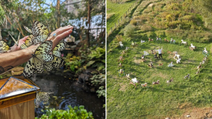 Most Visitors Don&rsquo;t Know These 14 Remarkable Places in Massachusetts Even Exist