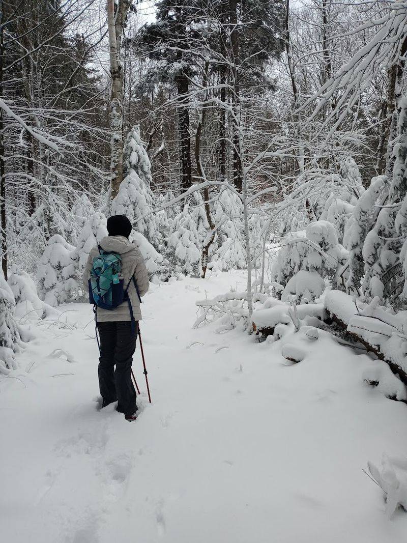 Hopper Trail to Mount Greylock (Williamstown)