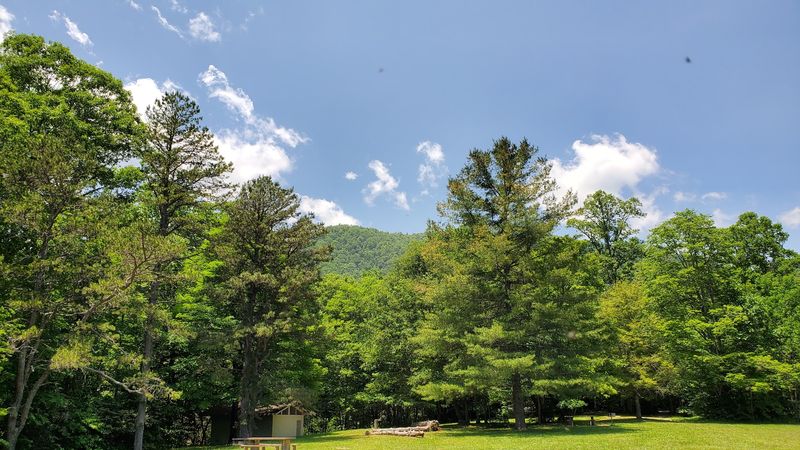 Pink Beds Loop (Pisgah National Forest)