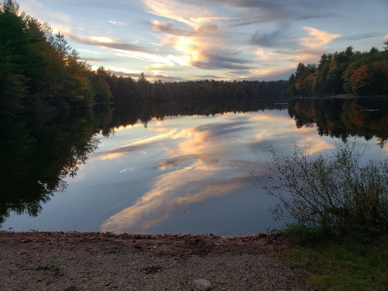 Daughters of the American Revolution State Forest