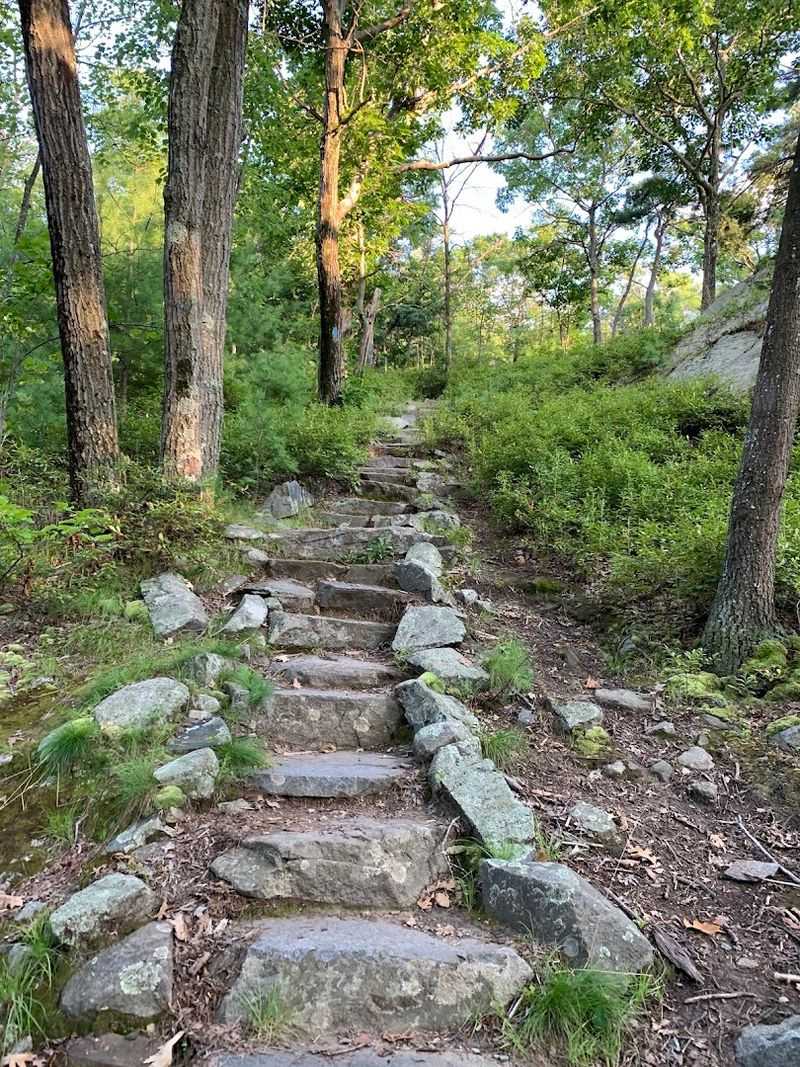 Blue Hills Reservation - Skyline Trail