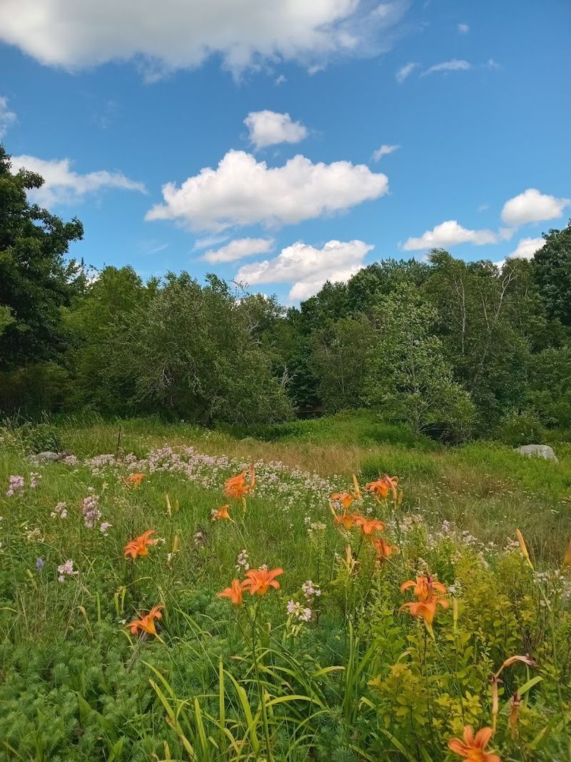 Tully Trail (Royalston area)