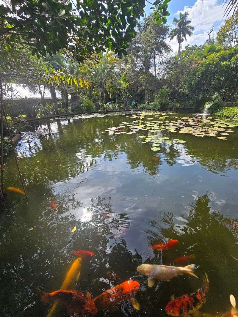 Miami Beach Botanical Garden