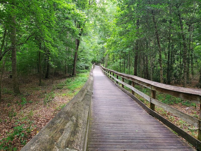 Cape Fear River Trail