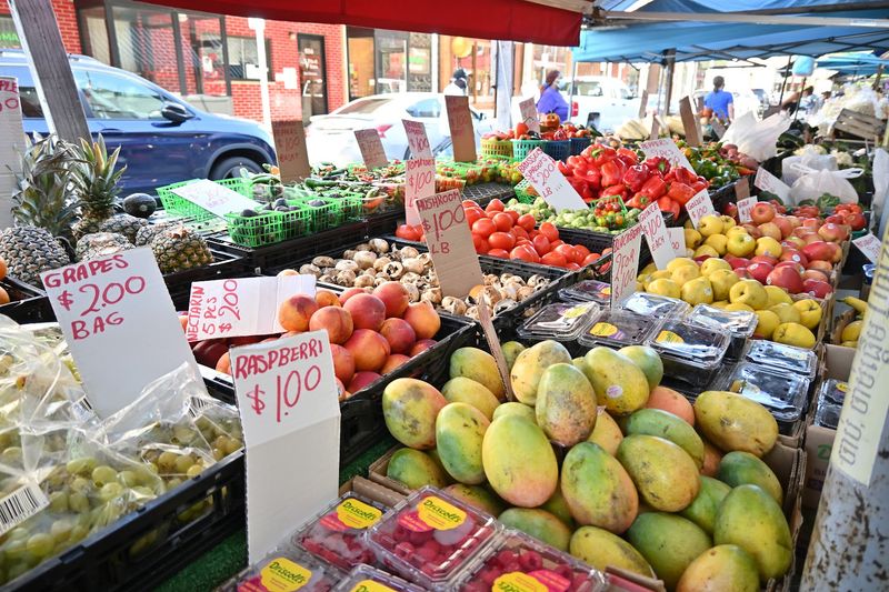 Seasonal Cherry Blossom Atmosphere
