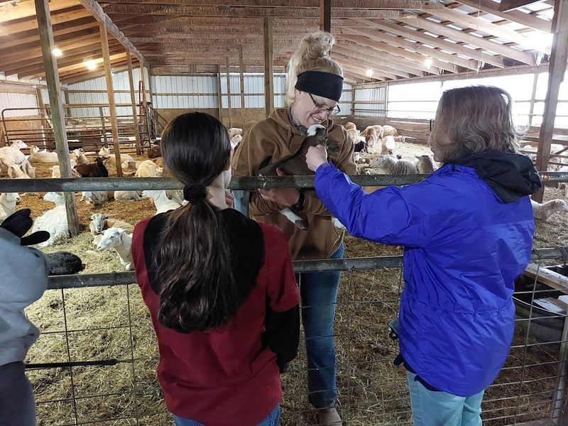 Working Farm Featuring Diverse Animal Species