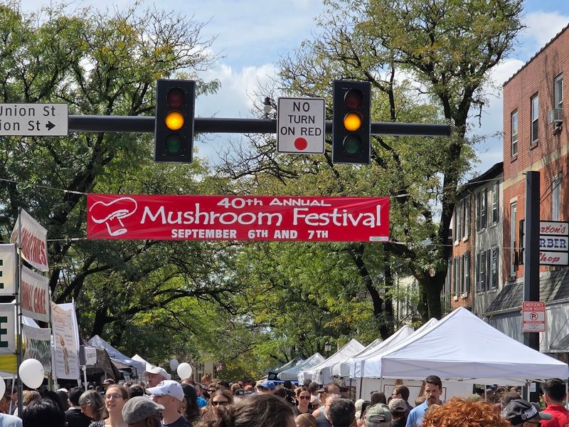 Kennett Square Mushroom Festival