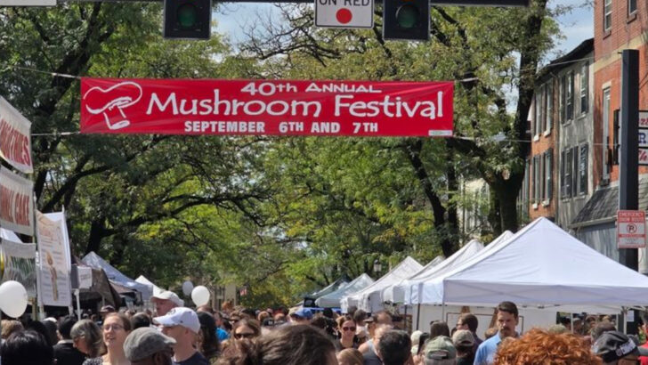 Mushroom Festivals And Morel Hunting Weekends In Pennsylvania That Make Spring More Fun