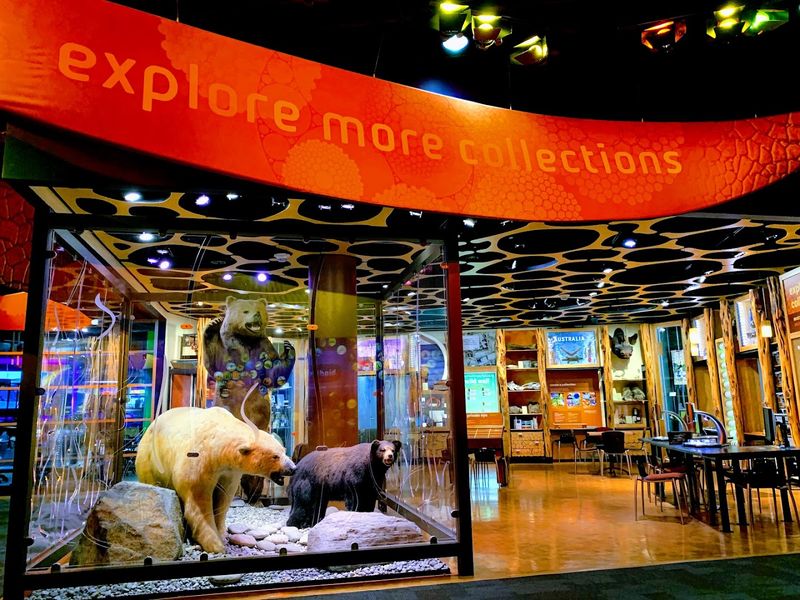 Discovery Place Science (Charlotte)