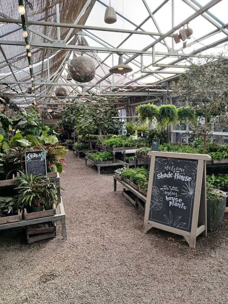 A Year-Round Destination With Seasonal Charm