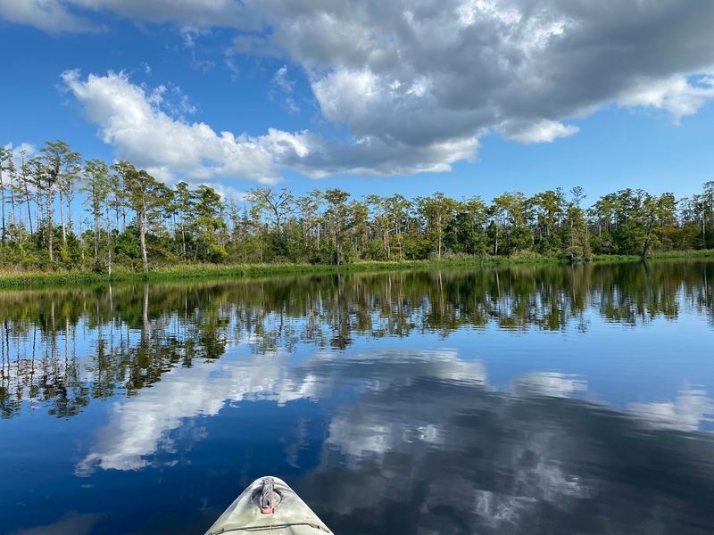 Alligator River National Wildlife Refuge &mdash; Manteo