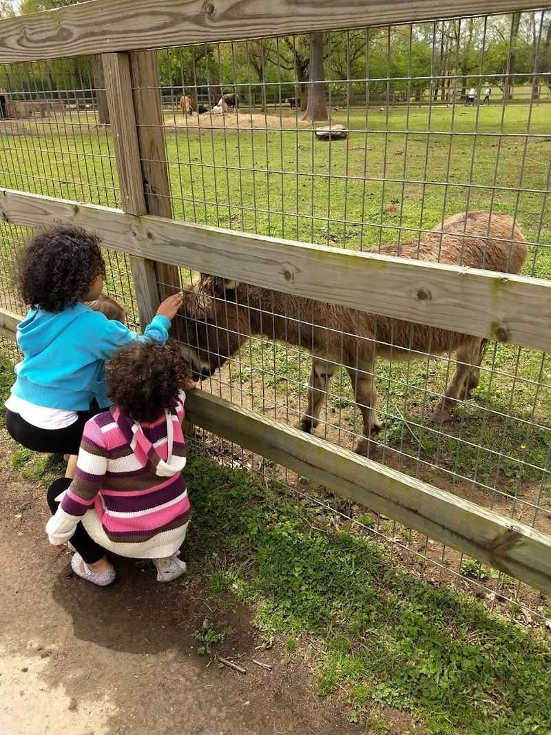 Educational Experiences and Guided Tours