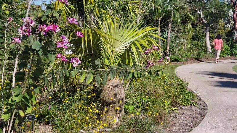 Florida Native Habitat Gardens