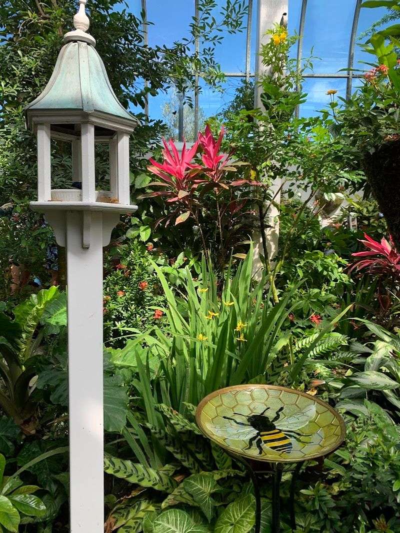 Accessibility and Comfort