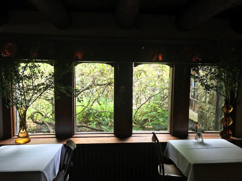 Visitor Info and Tips