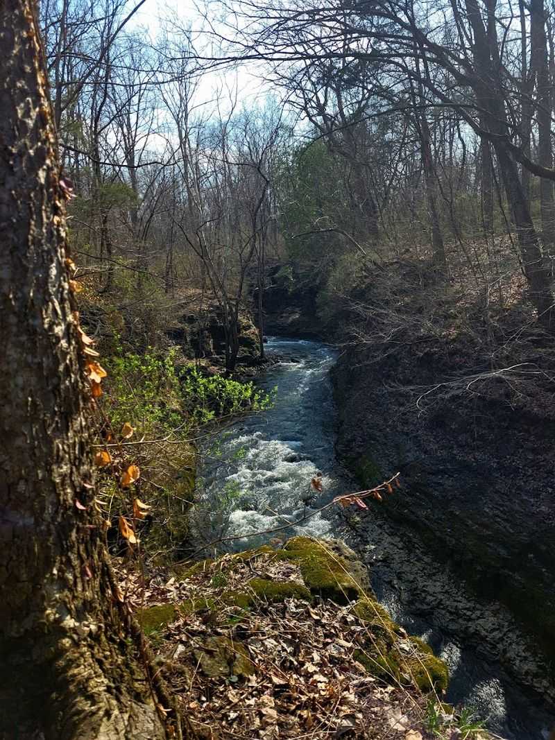 Clifton Gorge State Nature Preserve — A Fast River, Carved Limestone, and Native Plants