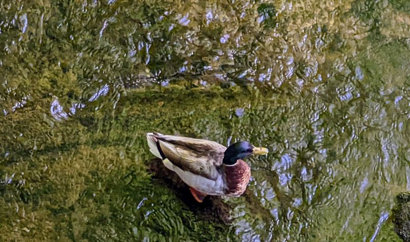 Fort Washington State Park (Montgomery County)