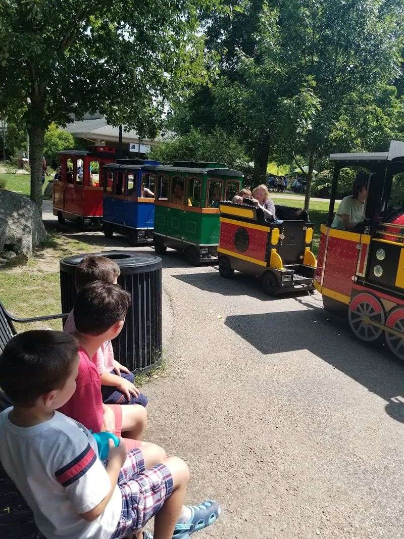 The Zoo Train Ride: A Kid-Sized Tour of the Whole Park