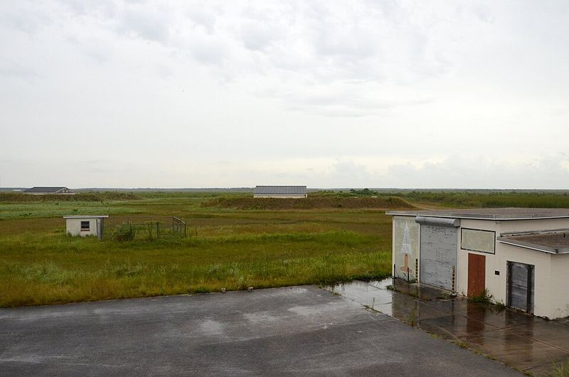 Life on High Alert in the Everglades