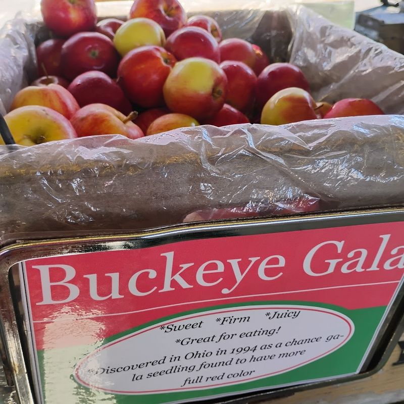 Toledo Farmers' Market, Toledo