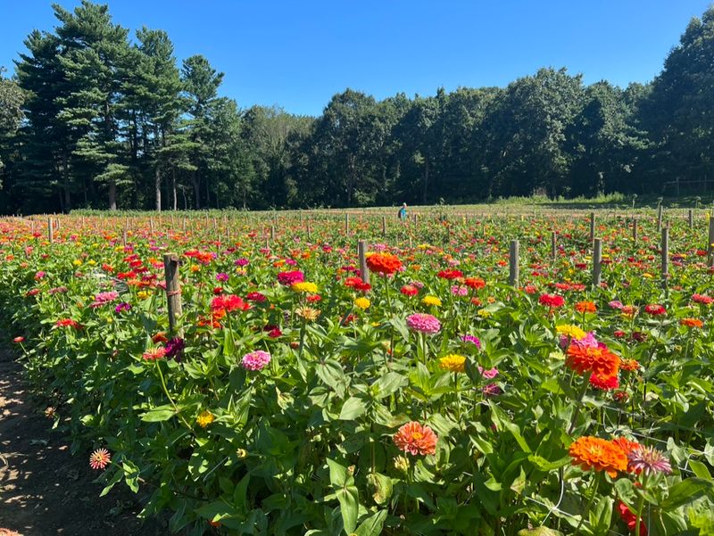 Parlee Farms