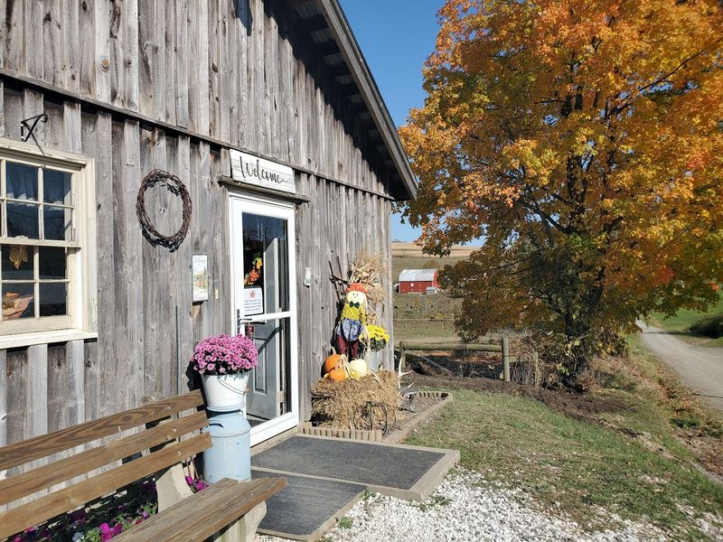 Patterson Maple Farms (Westfield, PA)