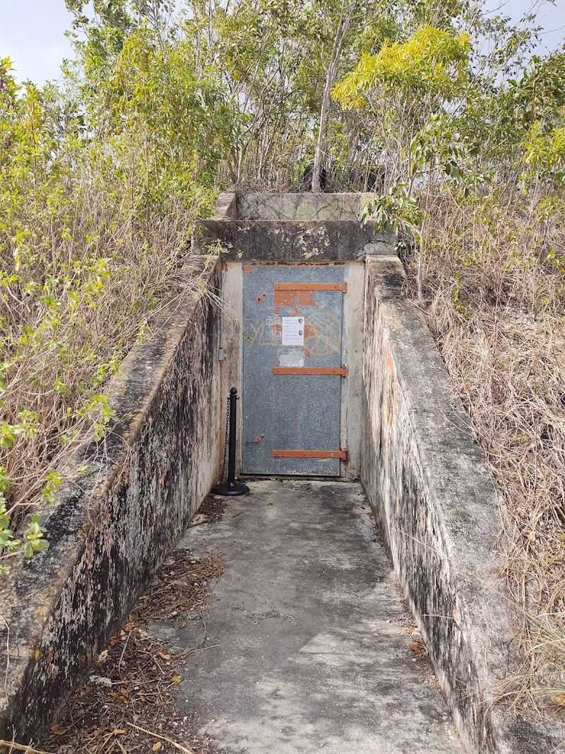 Deactivation and Military Closure (1979)