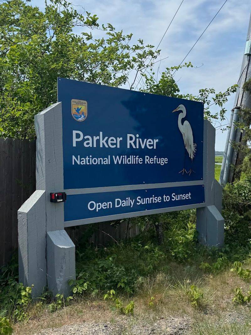 Access, Fees, and What to Bring