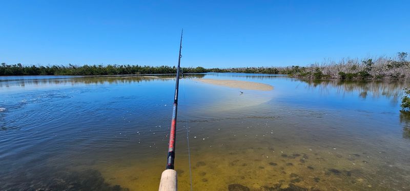 Fishing Opportunities Throughout the Refuge
