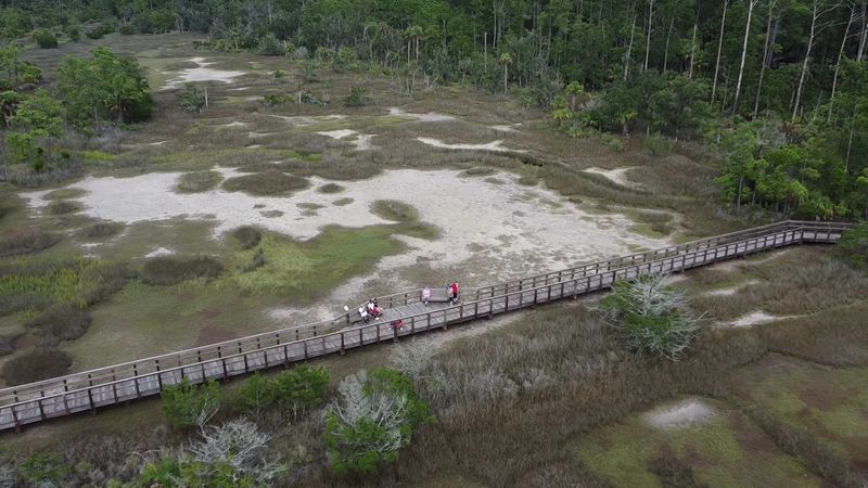 Proximity to Historic Savannah