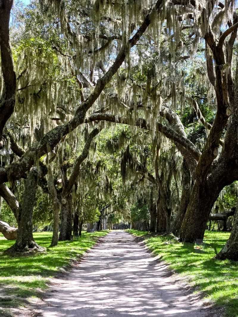 Cumberland Island National Seashore
