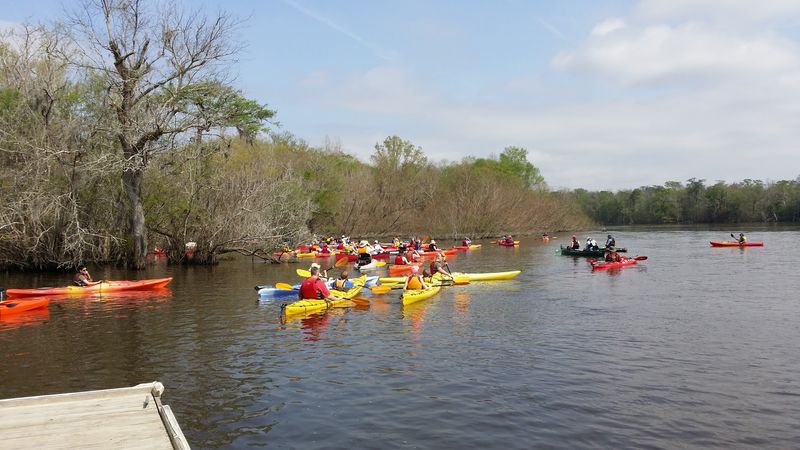 Altamaha River Canoe Trail