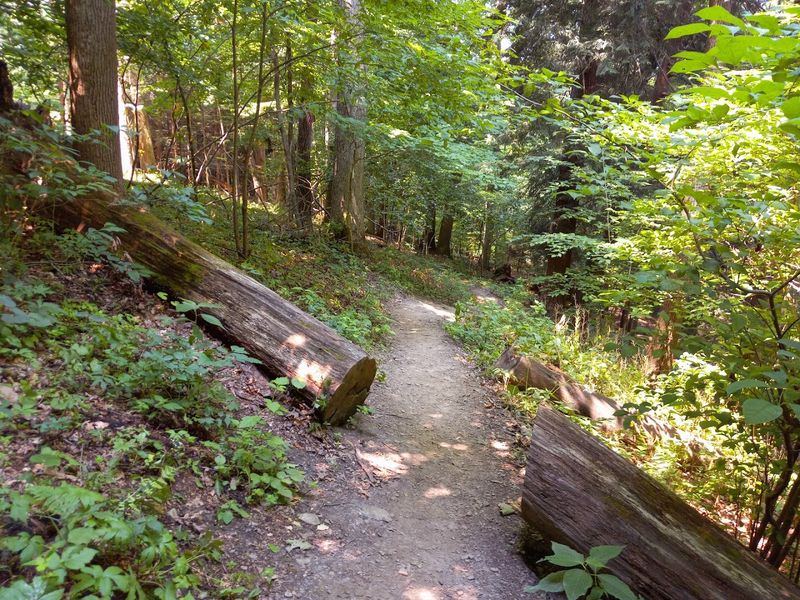 Clear Fork Gorge Trail &ndash; Mohican State Park