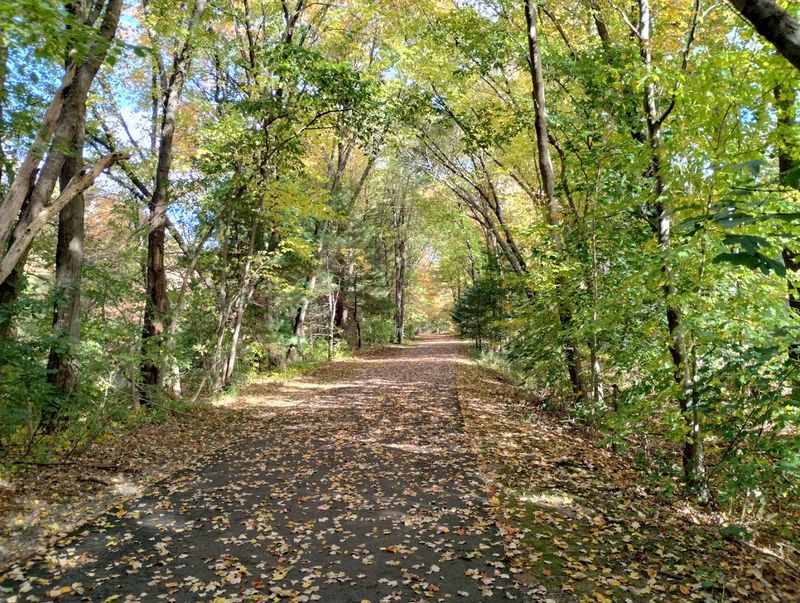 Wilkins Street Trailhead - Hudson