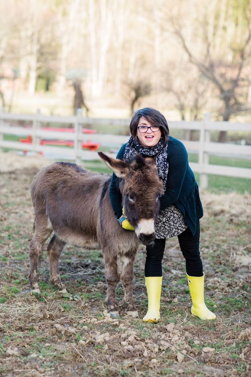 Farm Life Meets Relaxed Getaway