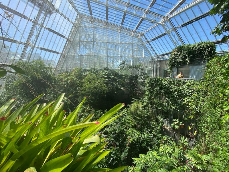 The Glasshouse That Changes Climate In A Few Steps