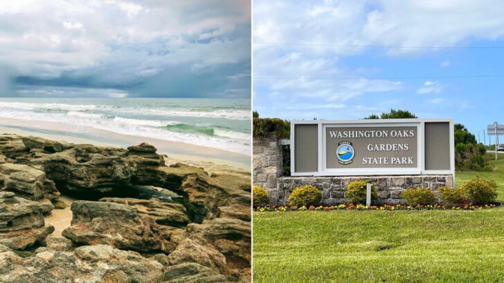 One Of Florida&rsquo;s Most Distinctive Beaches Has Rugged Rock Formations Instead Of Soft Sand