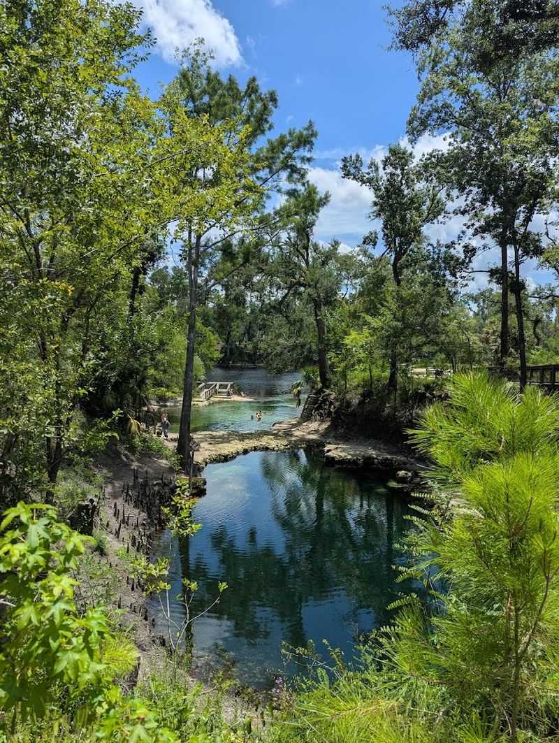 Hidden Gem in North Florida's Wilderness