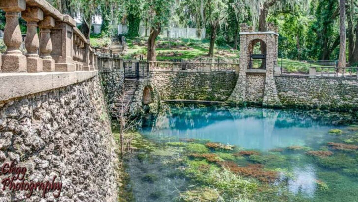 One Of Georgia&rsquo;s Prettiest Springs Sits Inside A Garden With Old-School Southern Charm