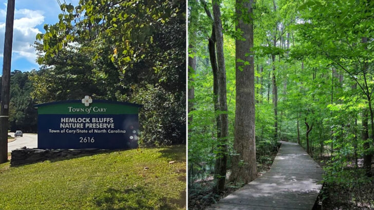 One Of North Carolina&rsquo;s Most Refreshing Nature Walks Winds Through A Surprisingly Wild Preserve