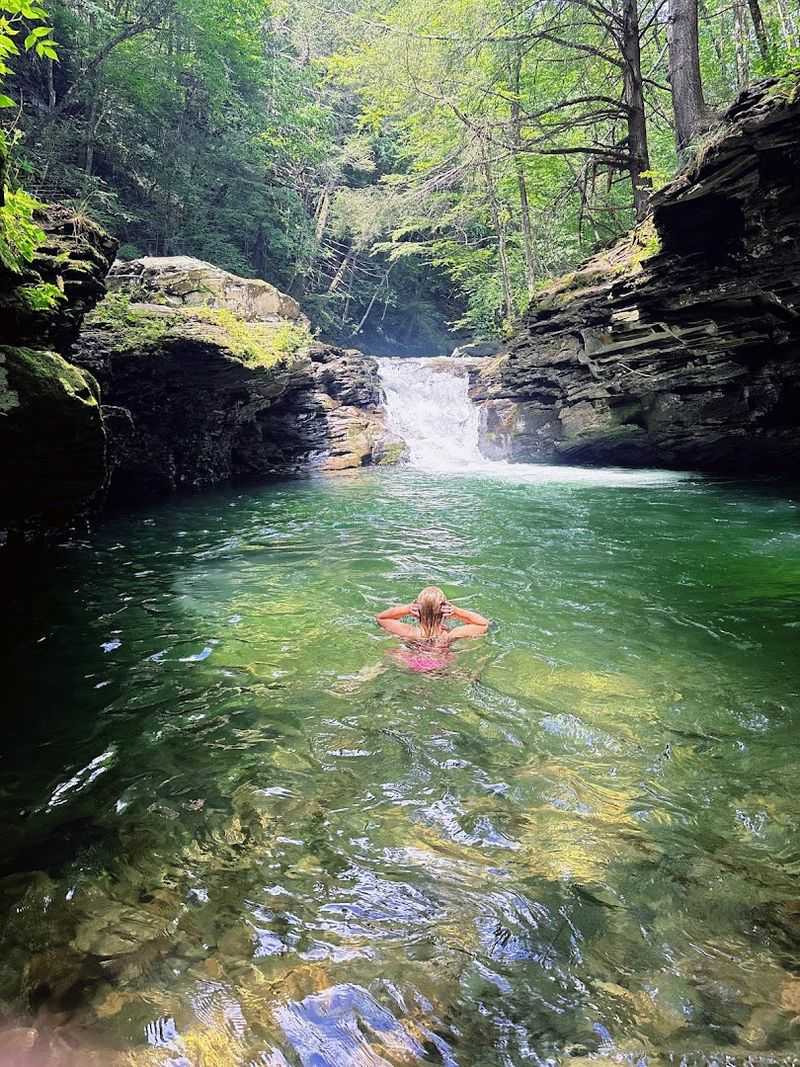 Why Upper Rock Run Falls Belongs On Your 2026 List