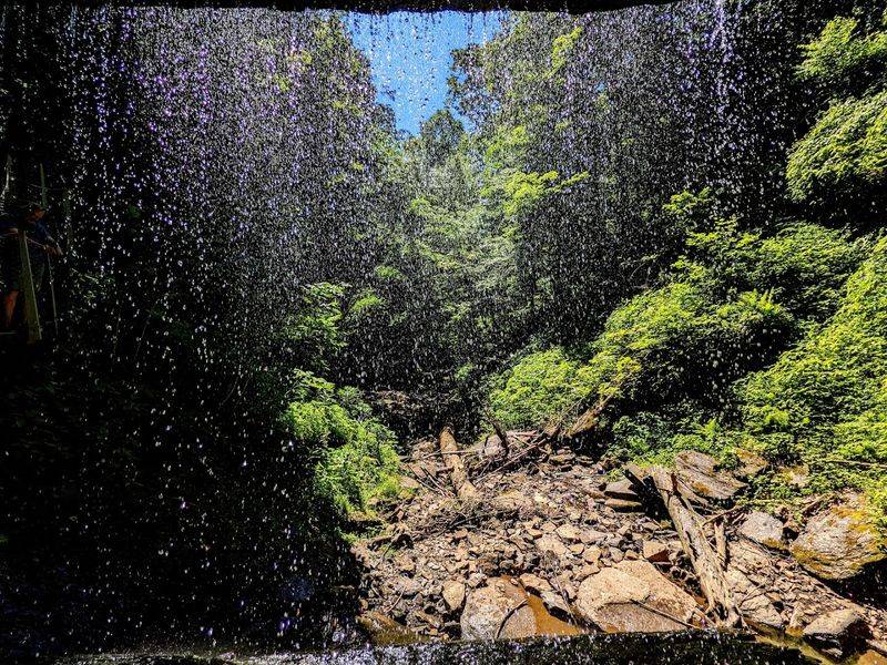 A Hidden Gem in Western Pennsylvania